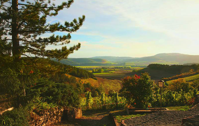 Hütte im Weinberg