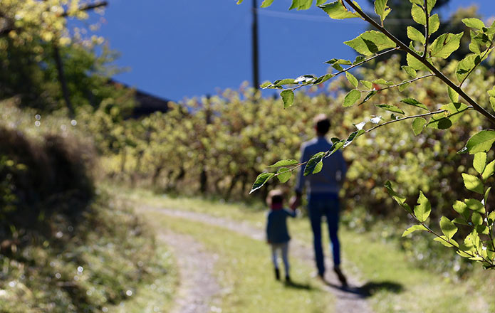 Wandern im Weinberg bei Hammelburg